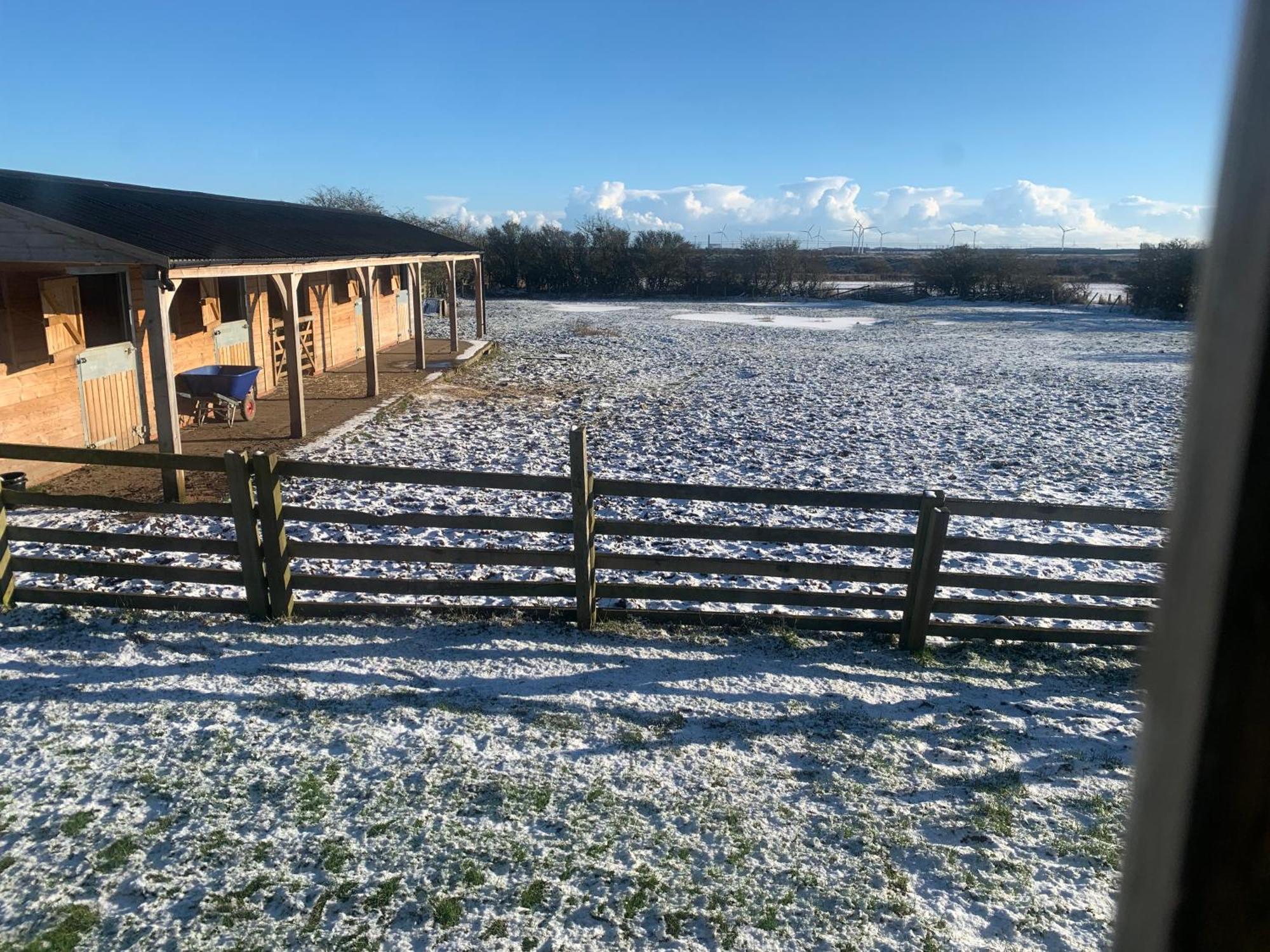 Owls Nest Log Cabin 몰페스 외부 사진